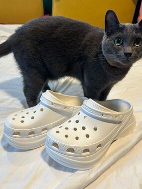 CROCS Bae
